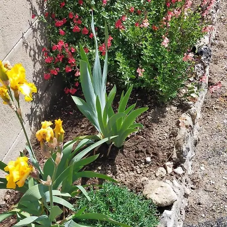 Daire Les Paddocks Du Damier Manceau Marigne-Laille